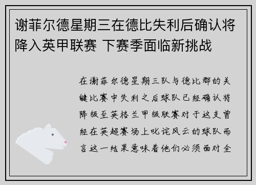 谢菲尔德星期三在德比失利后确认将降入英甲联赛 下赛季面临新挑战